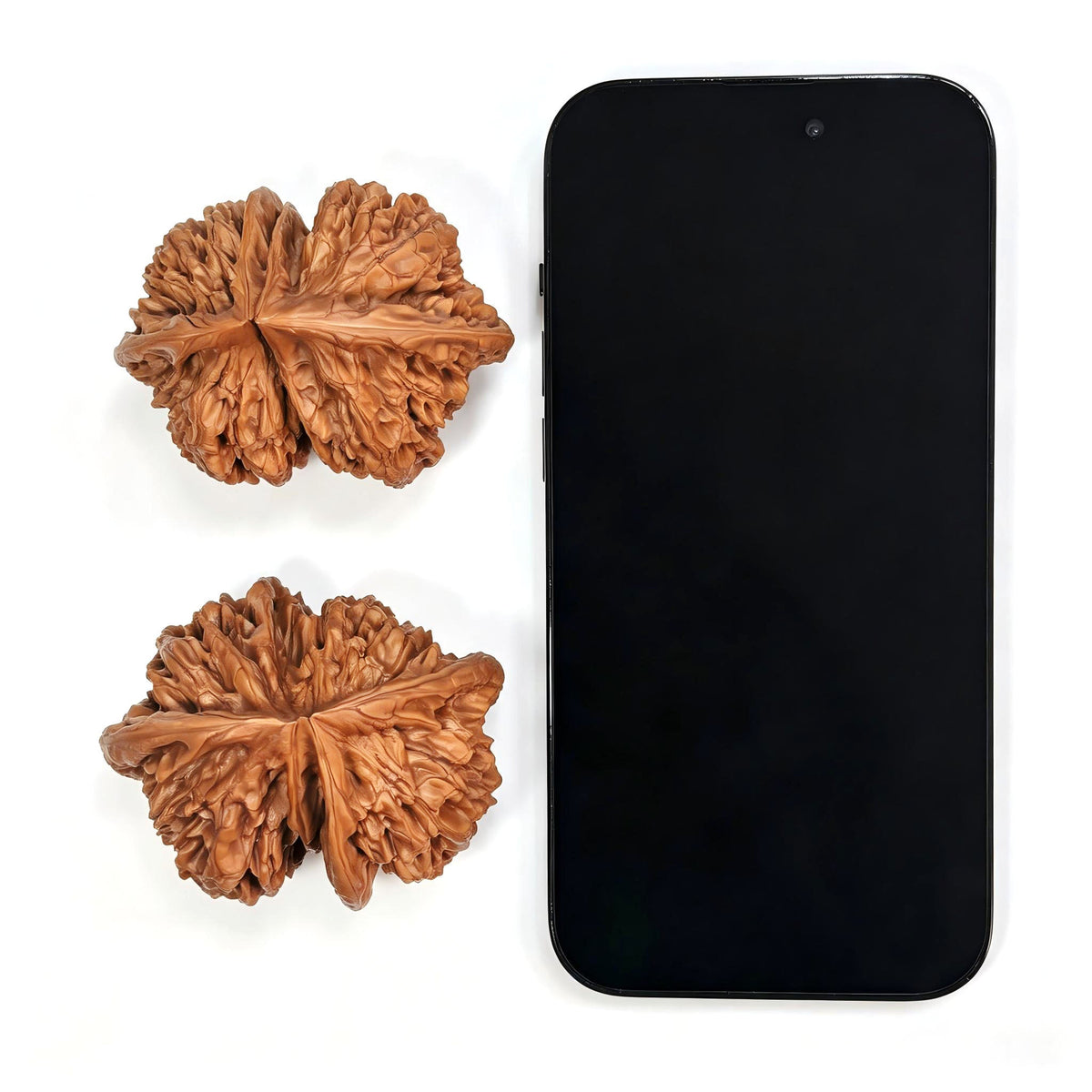 Collector Grade Qilin-Pattern Conjoined Scholar Walnut Pair — 62.0mm x 51.0mm | QLWLT-CWA4E - ThePatinaProject