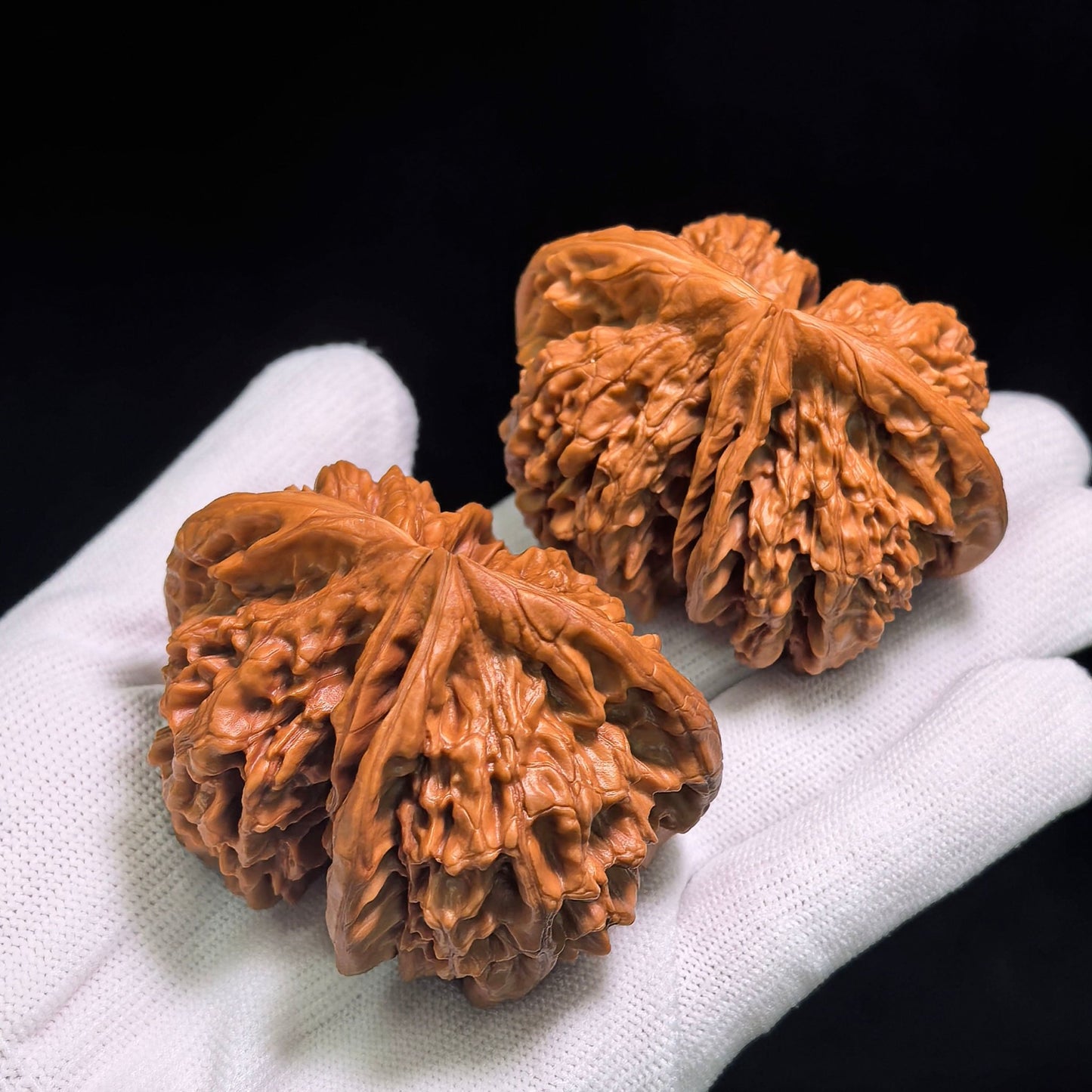 Collector Grade Qilin-Pattern Conjoined Scholar Walnut Pair — 62.0mm x 51.0mm | QLWLT-CWA4E - ThePatinaProject