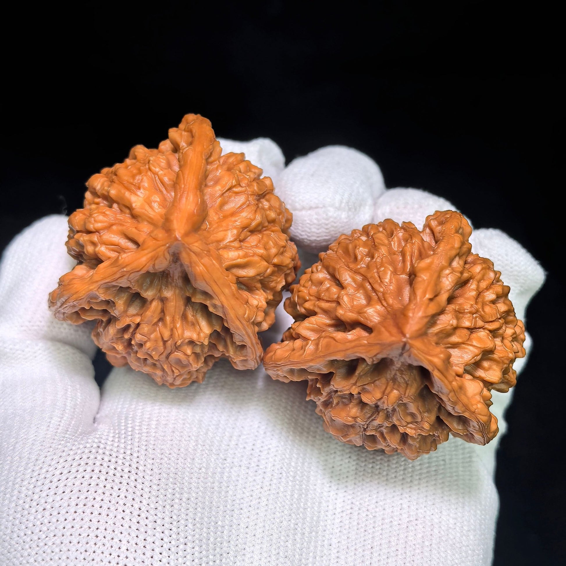 Collector Grade Qilin-Pattern Three-Ridged “Mercedes Star” Scholar Walnut Pair — 45.0mm x 44.0mm | QLWSN-CWA5E - ThePatinaProject