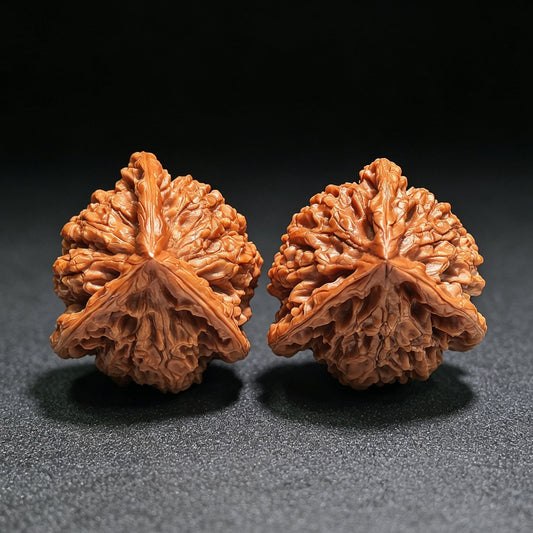Collector Grade Qilin-Pattern Three-Ridged “Mercedes Star” Scholar Walnut Pair — 45.0mm x 44.0mm | QLWSN-CWA5E - ThePatinaProject