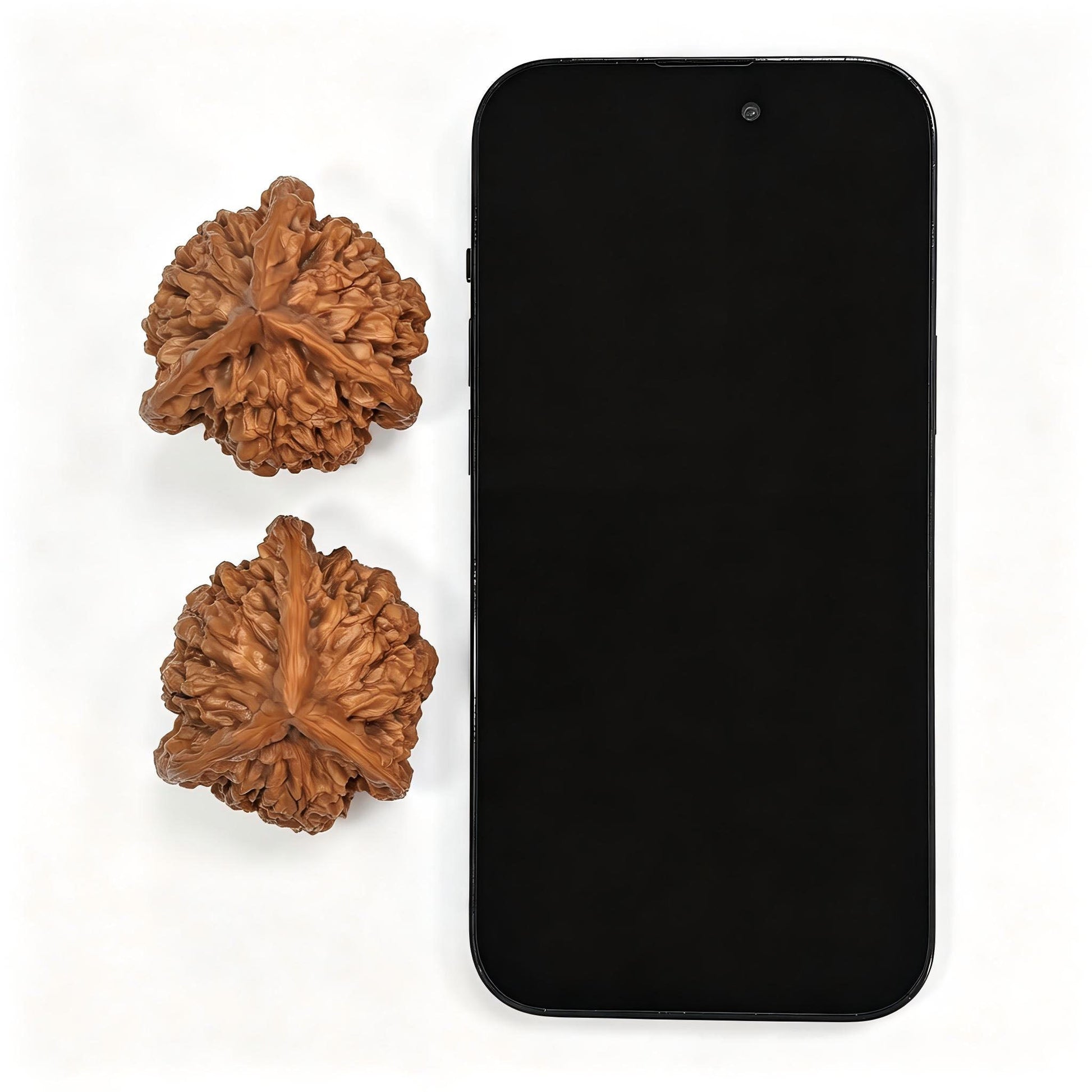 Collector Grade Qilin-Pattern Three-Ridged “Mercedes Star” Scholar Walnut Pair — 45.0mm x 44.0mm | QLWSN-CWA5E - ThePatinaProject