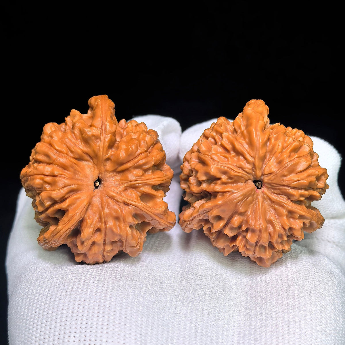 Collector Grade Qilin-Pattern Three-Ridged “Mercedes Star” Scholar Walnut Pair — 45.0mm x 44.0mm | QLWSN-CWA5E - ThePatinaProject