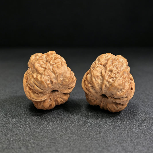 Compact Broad-Shouldered Toad Head Wenwan Walnut Pair | 35.0mm x 37.0mm | HMT-SY1H6 - ThePatinaProject
