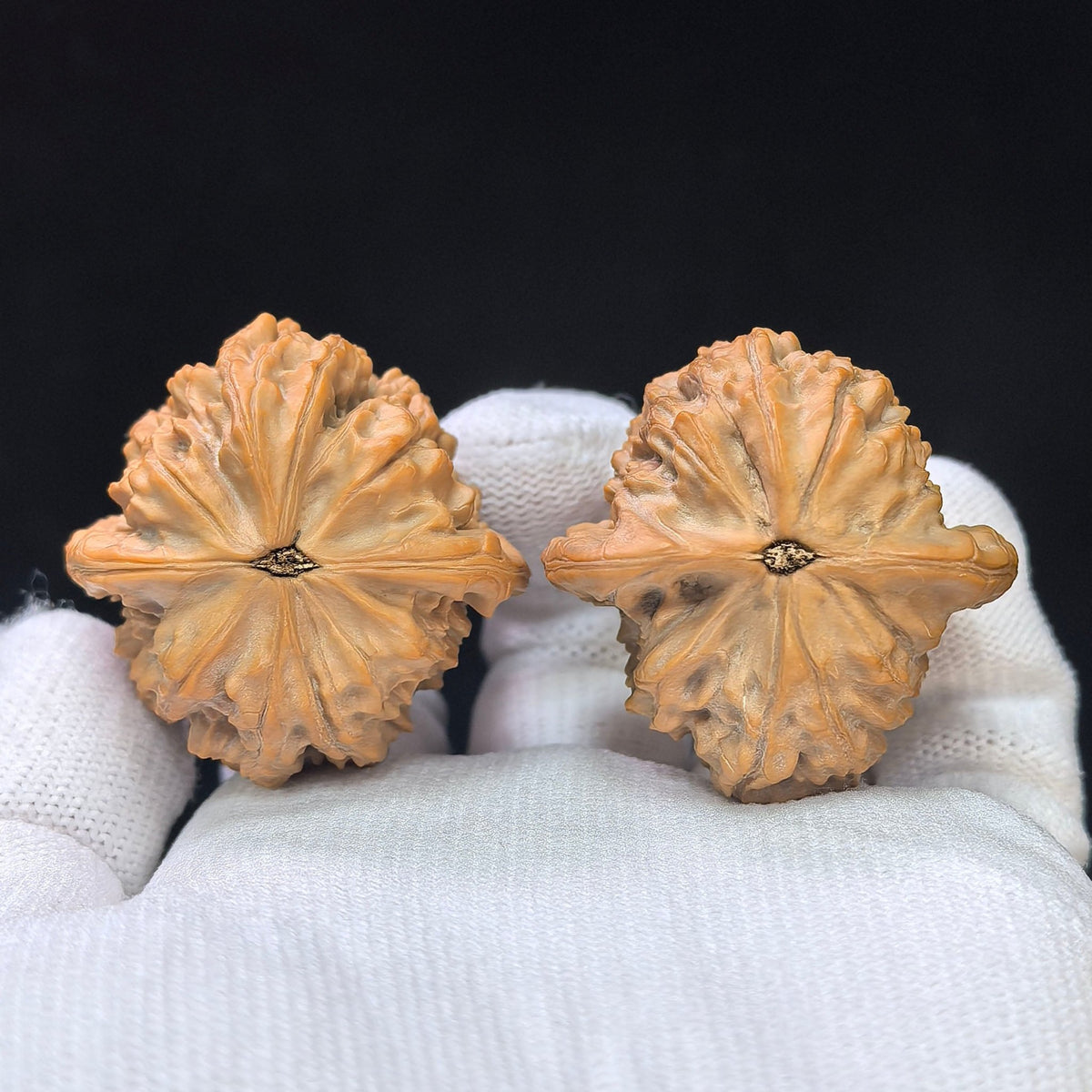 Compact Deep-Textured Ma Laosi Wenwan Walnut Pair — 37.0mm x 38.0mm | MLS-SY1F8 - ThePatinaProject