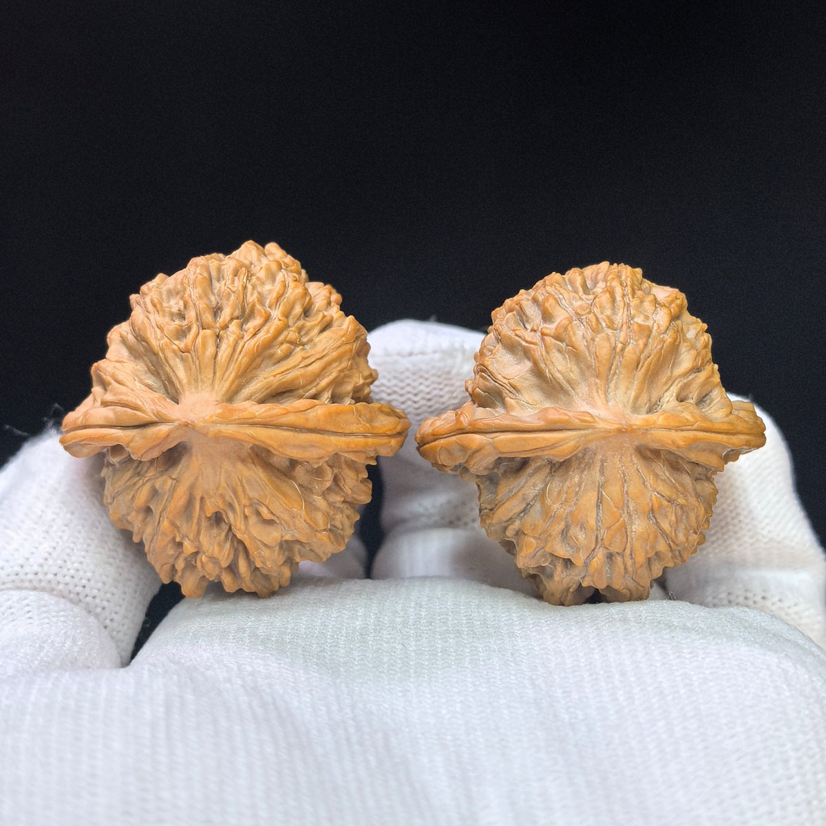 Compact Deep-Textured Ma Laosi Wenwan Walnut Pair — 37.0mm x 38.0mm | MLS-SY1F8 - ThePatinaProject