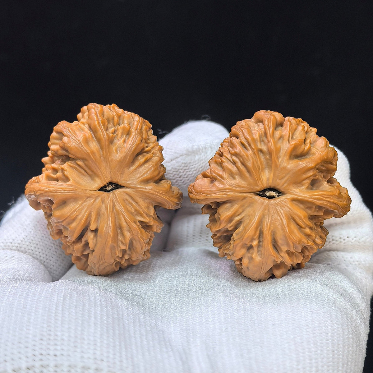 Compact Deep-Textured “Scale Weight” Wenwan Walnut Pair — 37.0mm x 40.0mm | PT-17D3 - ThePatinaProject