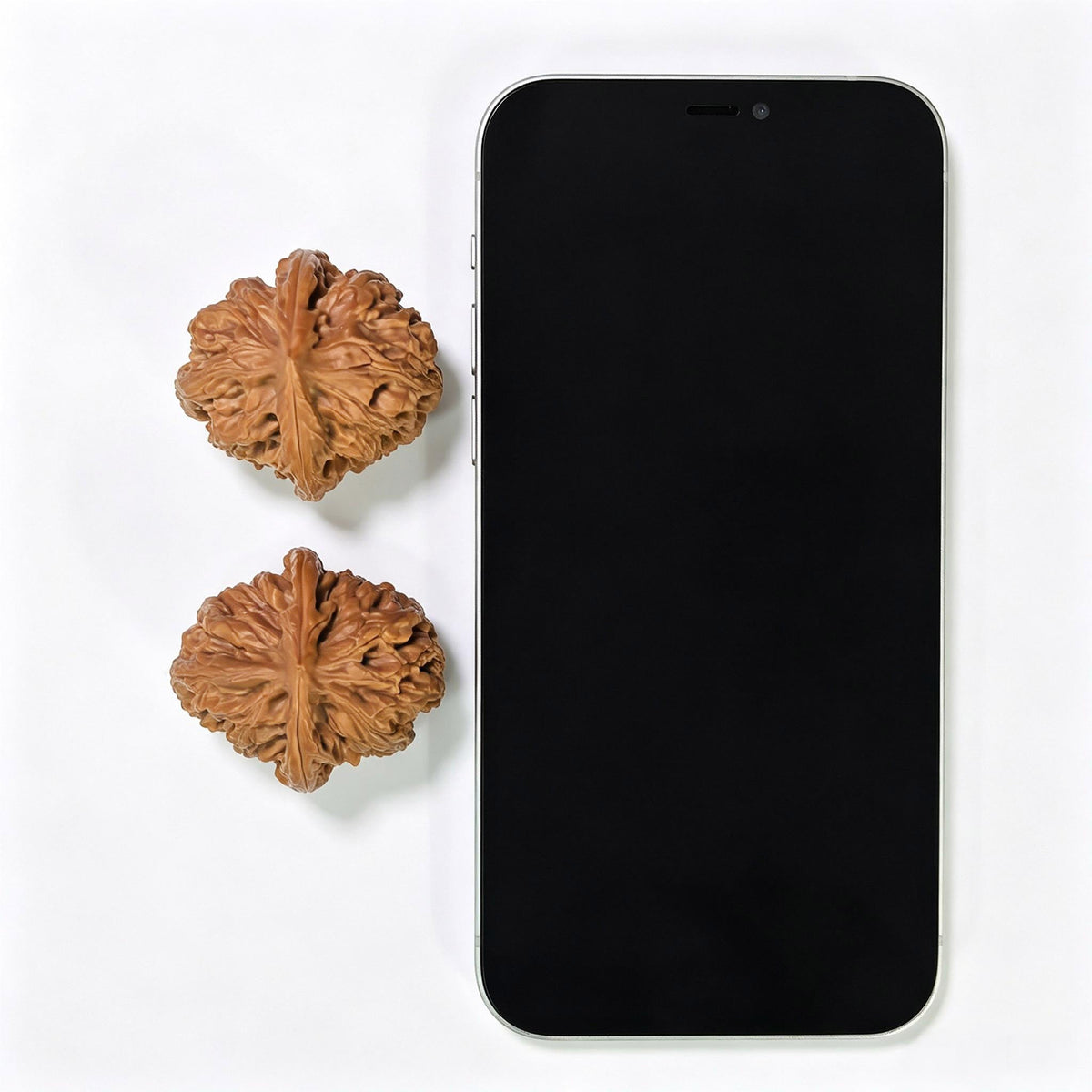 Compact Deep-Textured “Scale Weight” Wenwan Walnut Pair — 37.0mm x 40.0mm | PT-17D3 - ThePatinaProject