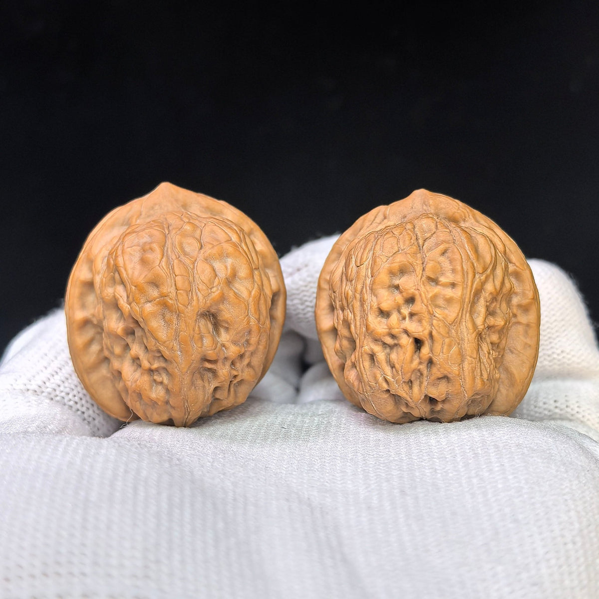 Compact High-Ridge “War Horse” Wenwan Walnut Pair — 32.0mm x 37.0mm | ZM-SY1F0 - ThePatinaProject