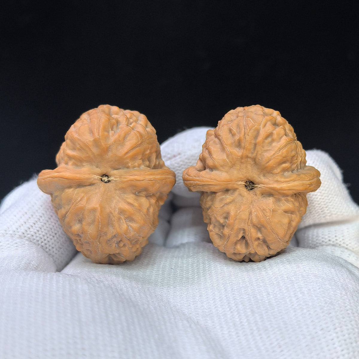 Compact High-Ridge “War Horse” Wenwan Walnut Pair — 32.0mm x 37.0mm | ZM-SY1F0 - ThePatinaProject