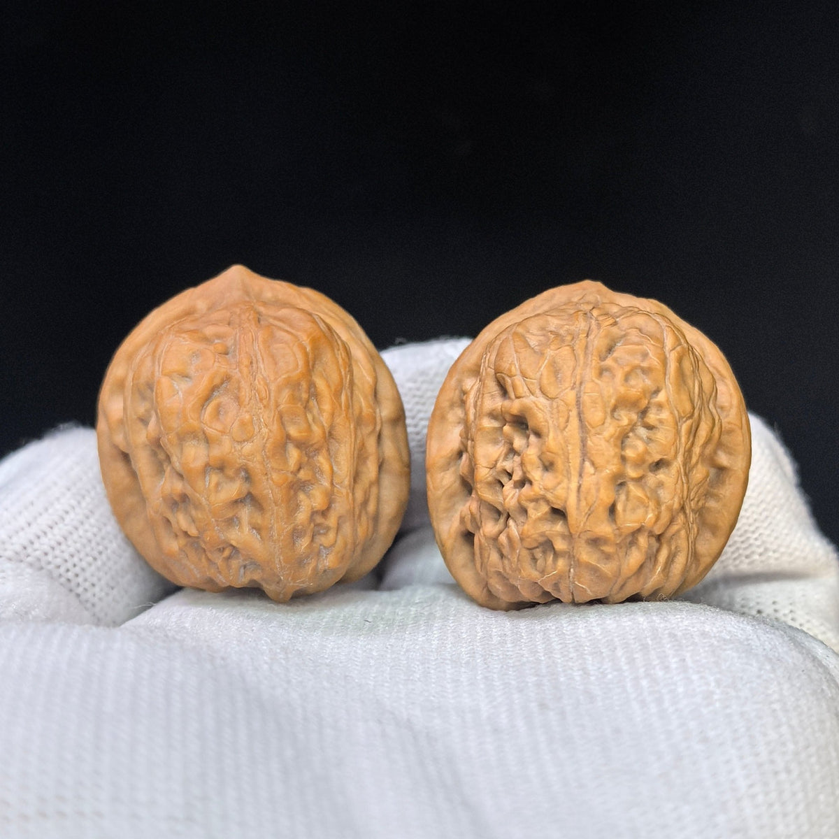 Compact High-Ridge “War Horse” Wenwan Walnut Pair — 32.0mm x 37.0mm | ZM-SY1F0 - ThePatinaProject