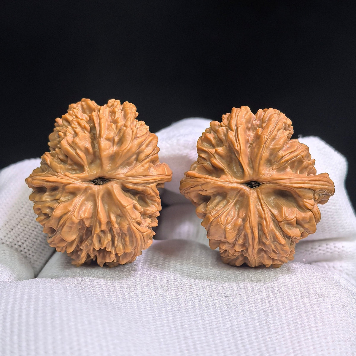 Compact Layered-Ridge “Caterpillar” Wenwan Walnut Pair — 31.0mm x 36.0mm | MMC-SY1D1 - ThePatinaProject