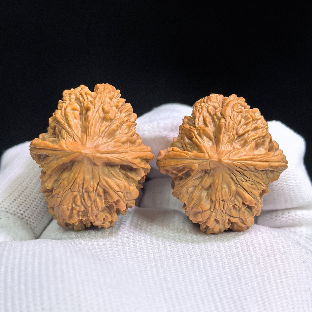 Compact Layered-Ridge “Caterpillar” Wenwan Walnut Pair — 31.0mm x 36.0mm | MMC-SY1D1 - ThePatinaProject