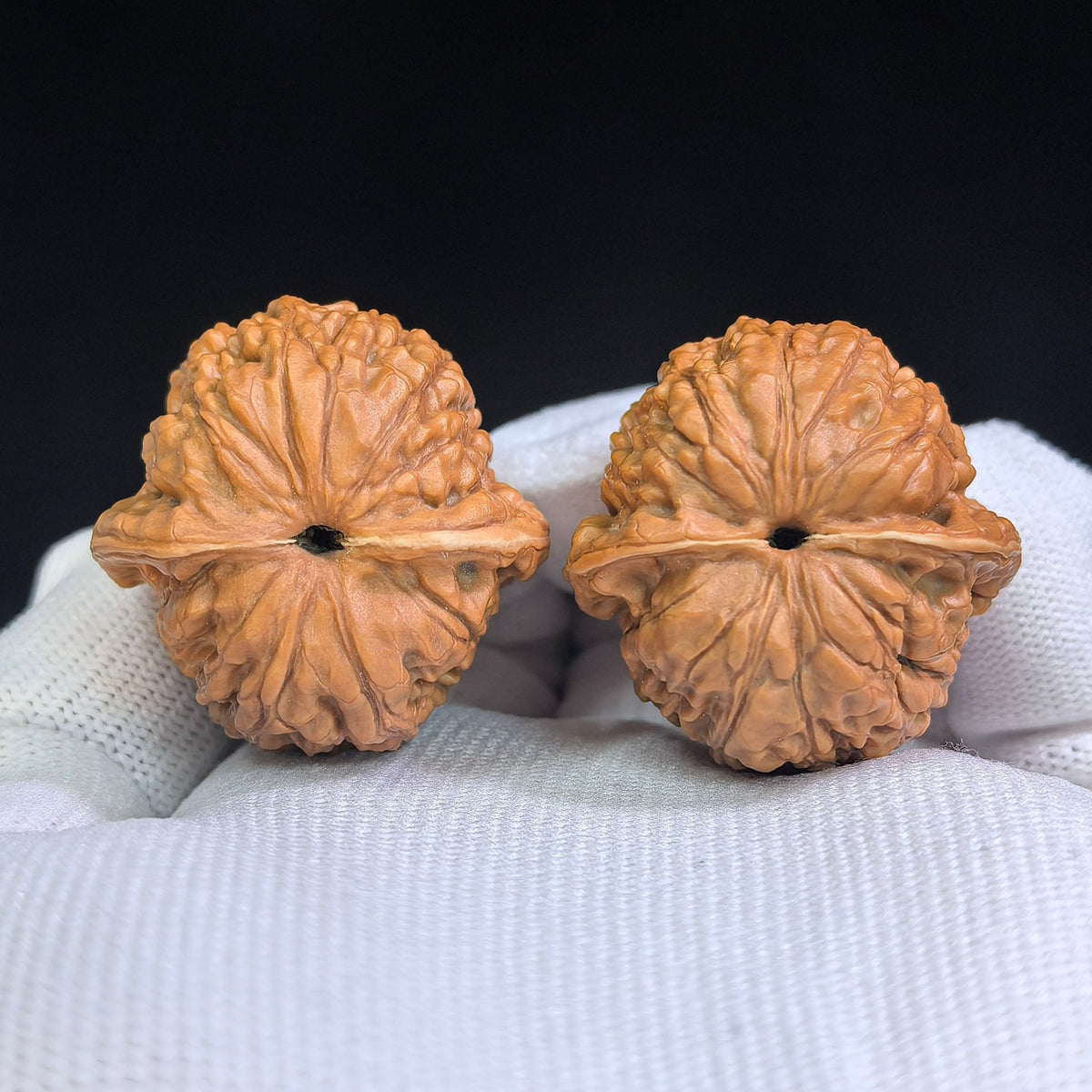 Compact “Meteorite Yuanbao” Wenwan Walnut Pair — 32.0mm x 32.0mm | YSYB-SY1D7 - ThePatinaProject