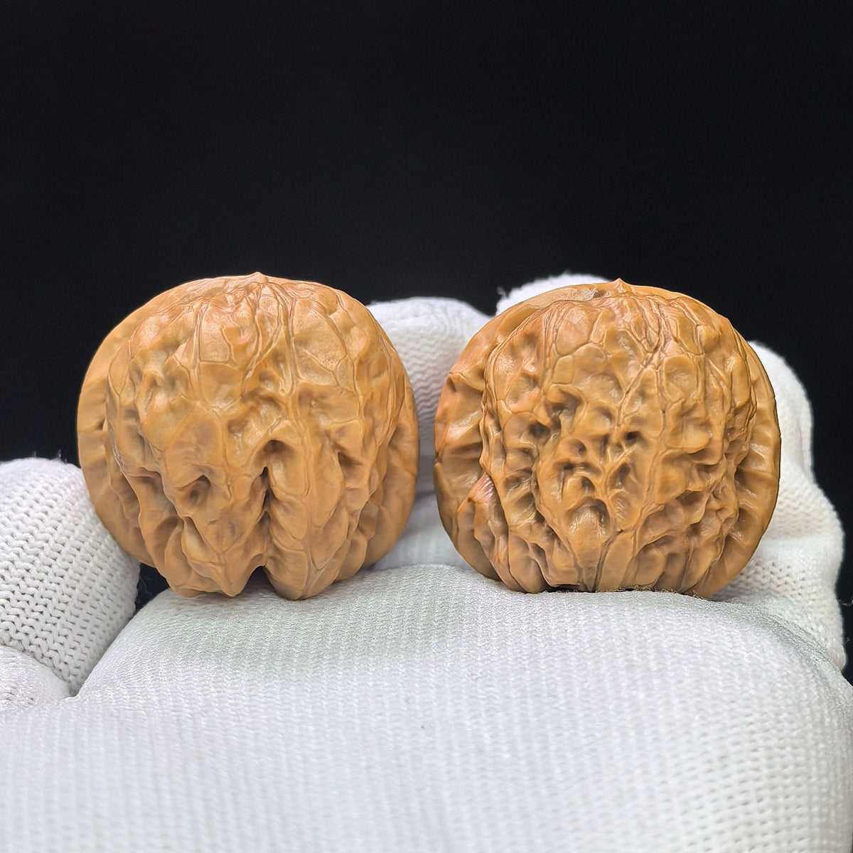 Compact Round-Bodied Damo Wenwan Walnut Pair — 35.0mm x 35.0mm | DM-1103 - ThePatinaProject