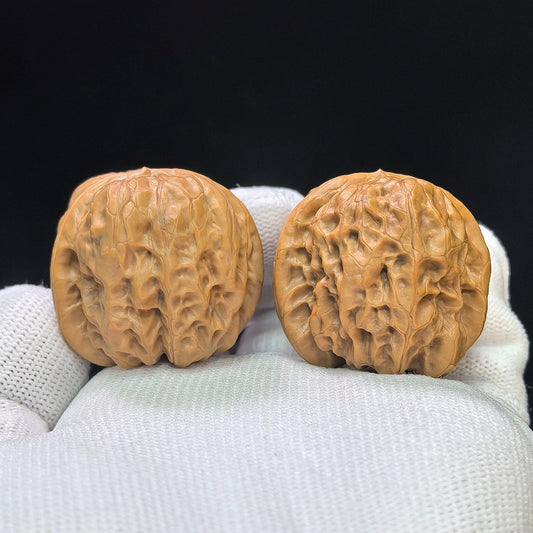 Compact Round-Bodied Damo Wenwan Walnut Pair — 35.0mm x 35.0mm | DM-1103 - ThePatinaProject