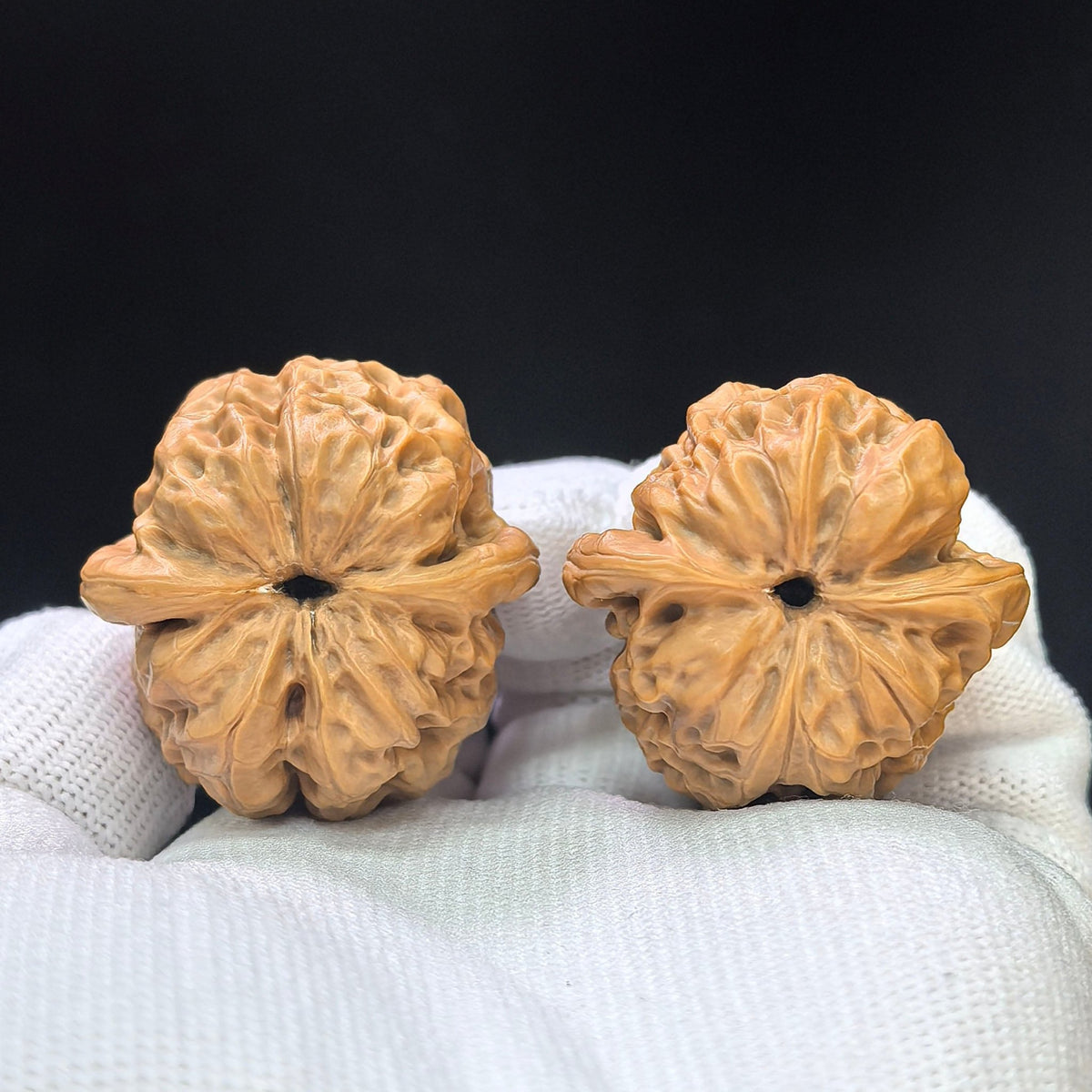Compact Round-Bodied Damo Wenwan Walnut Pair — 35.0mm x 35.0mm | DM-1103 - ThePatinaProject