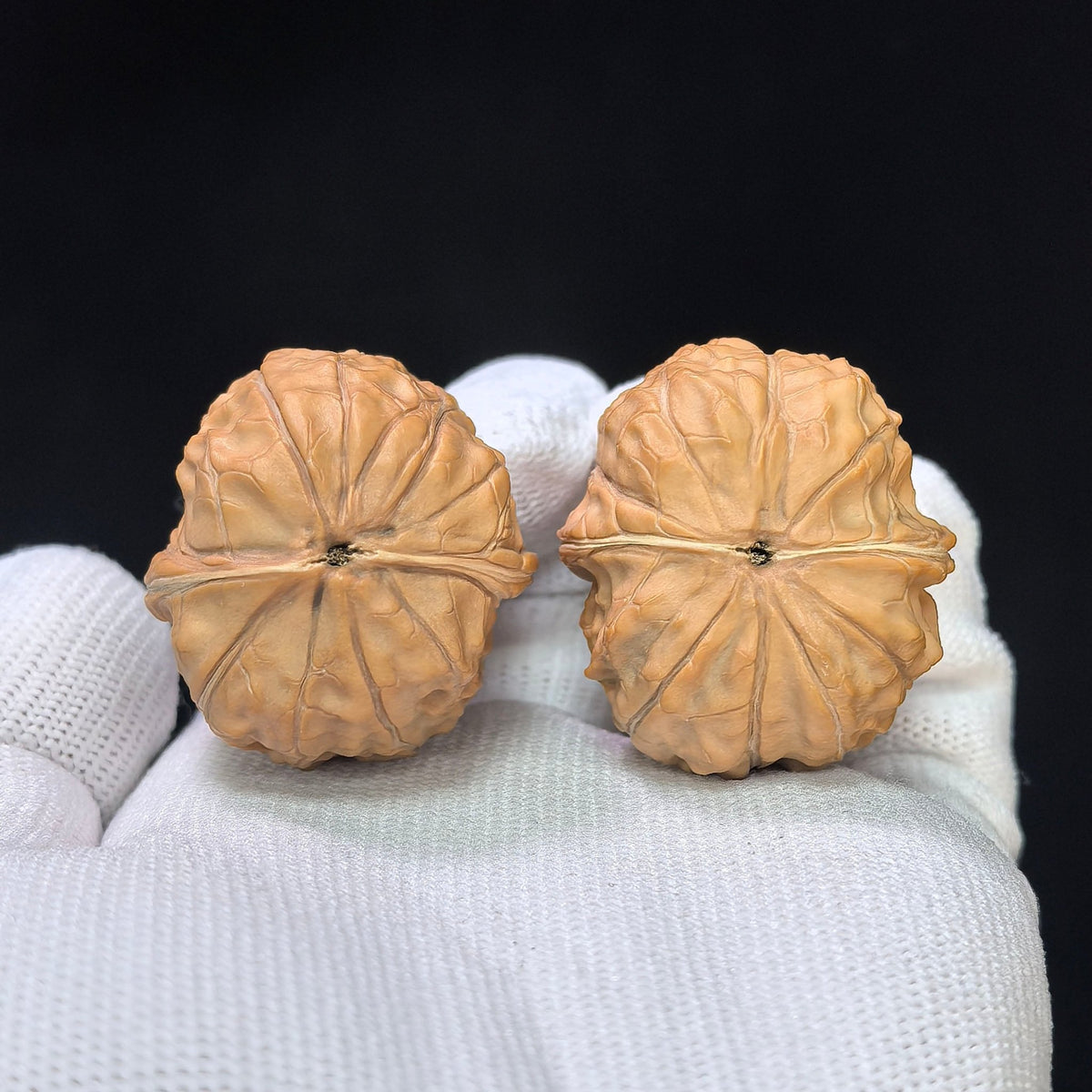Compact Turtle-Shell Pattern Wenwan Walnut Pair — 31.0mm x 35.0mm | GJW-1101 - ThePatinaProject