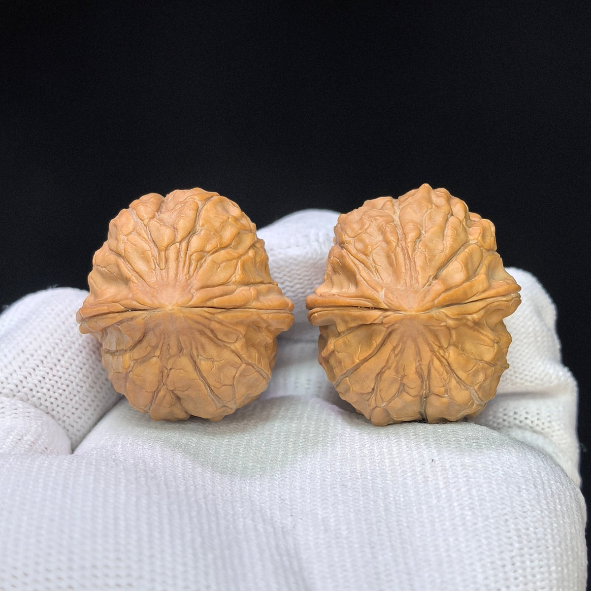 Compact Turtle-Shell Pattern Wenwan Walnut Pair — 31.0mm x 35.0mm | GJW-1101 - ThePatinaProject