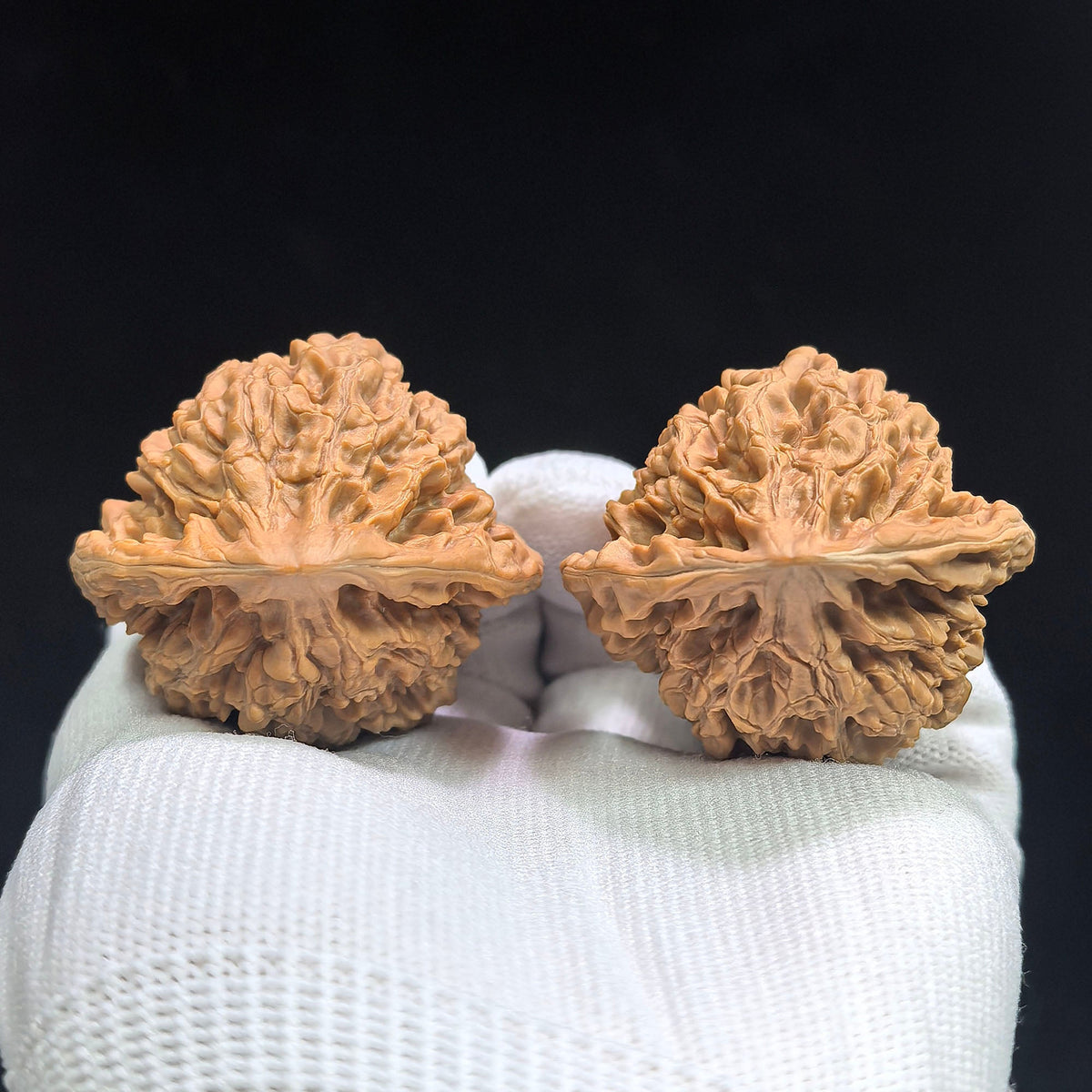 “Concave-Base Big Official Hat” Wenwan Walnut Pair | Broad-Shouldered Collector Form | 45.0mm × 42.0mm | ADDGM-1601 - ThePatinaProject