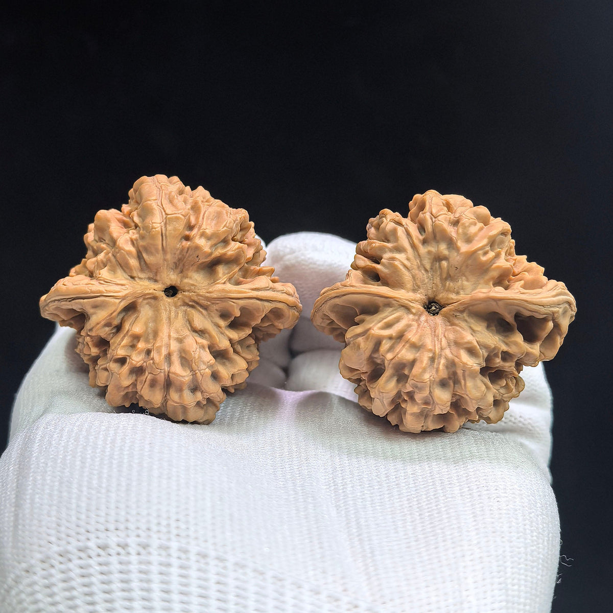 “Concave-Base Big Official Hat” Wenwan Walnut Pair | Broad-Shouldered Collector Form | 45.0mm × 42.0mm | ADDGM-1601 - ThePatinaProject