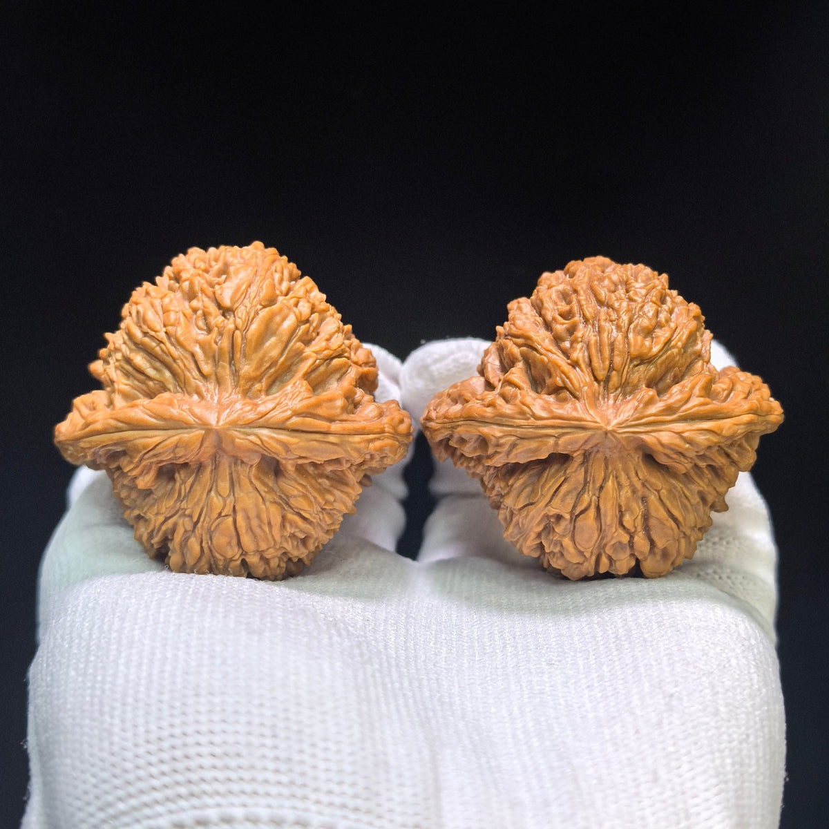 "Concave Base Nanjiangshi" Nanjiangshi Aodi Wenwan Walnuts (Pair) | 49.0mm x 45.0mm | Stock ID: NJS-1551C - ThePatinaProject