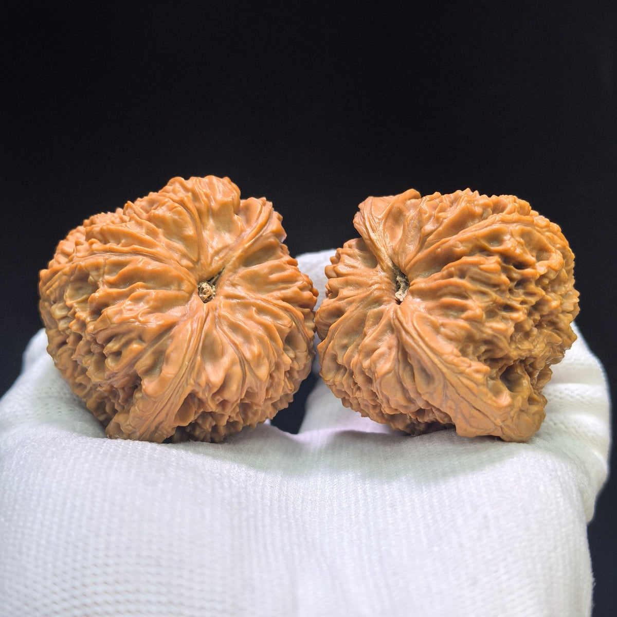 "Concave Base Nanjiangshi" Nanjiangshi Aodi Wenwan Walnuts (Pair) | 49.0mm x 45.0mm | Stock ID: NJS-1551C - ThePatinaProject