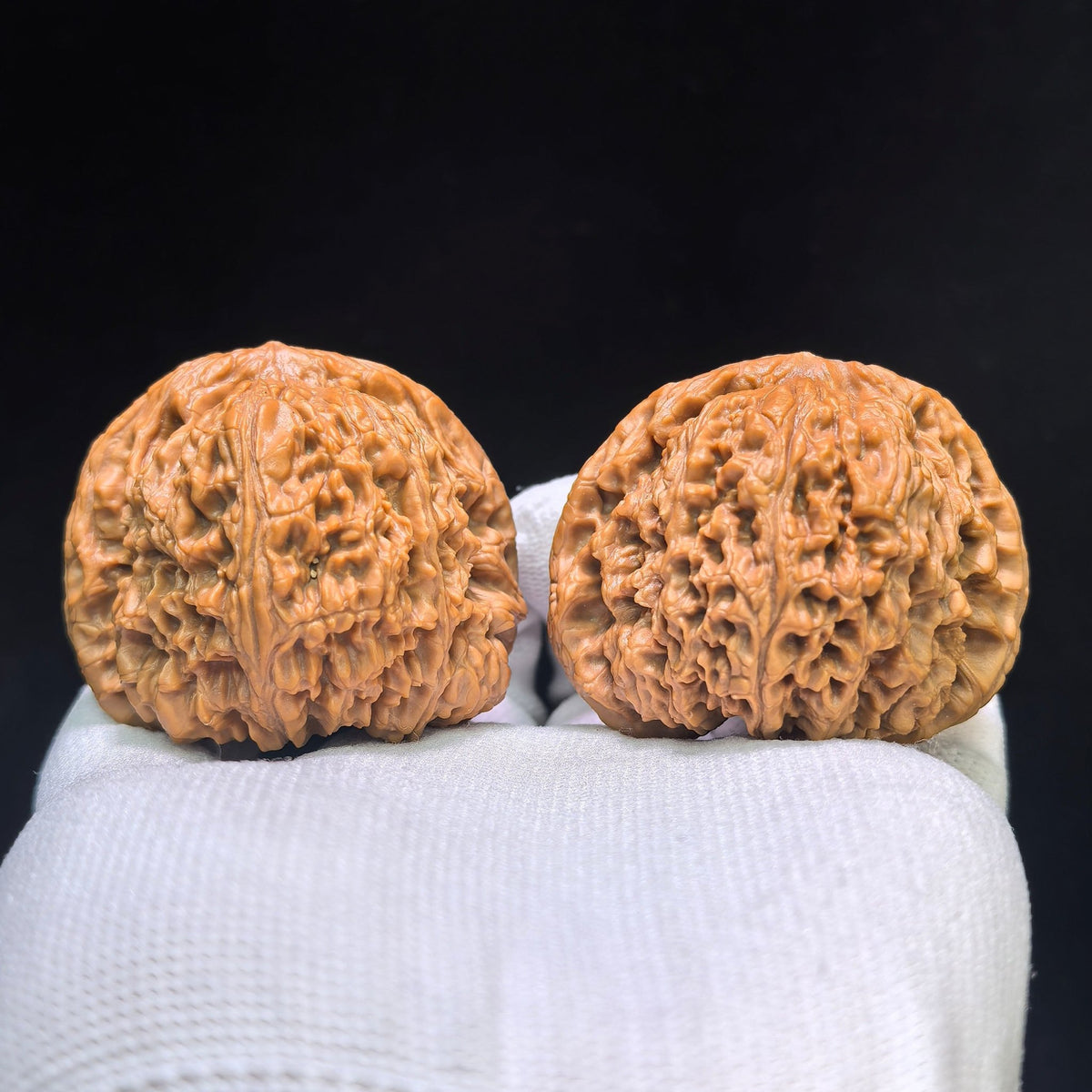 "Concave Base Nanjiangshi" Nanjiangshi Aodi Wenwan Walnuts (Pair) | 49.0mm x 45.0mm | Stock ID: NJS-1551C - ThePatinaProject