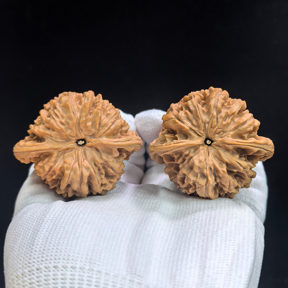 "Concave Base Peach Heart Qilin Texture" Aodi Taoxin Qilinwen BDTXQLW-17G9 Low-Profile Wenwan Walnuts Pair | 49.0mm x 41.0mm | BDTXQLW-17G9 - ThePatinaProject