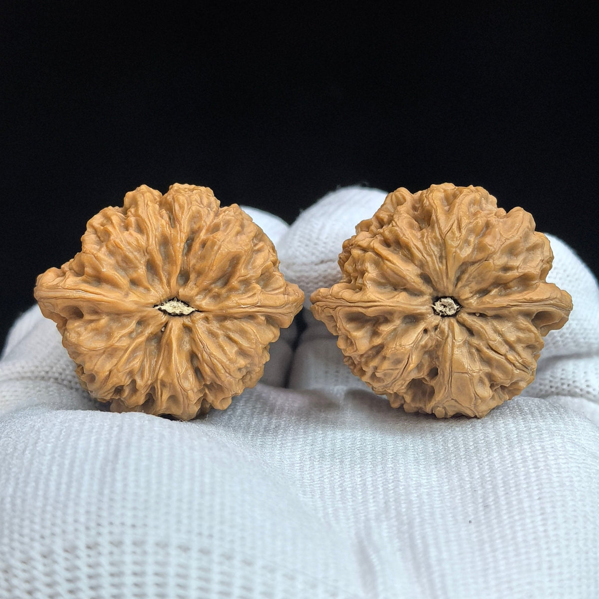 "Concave Base Rain Flower Stone" Concave Base Yuhuashi BDYHS-17A3C Low-Profile Wenwan Walnuts Pair | 35.0mm x 33.0mm | BDYHS-17A3C - ThePatinaProject