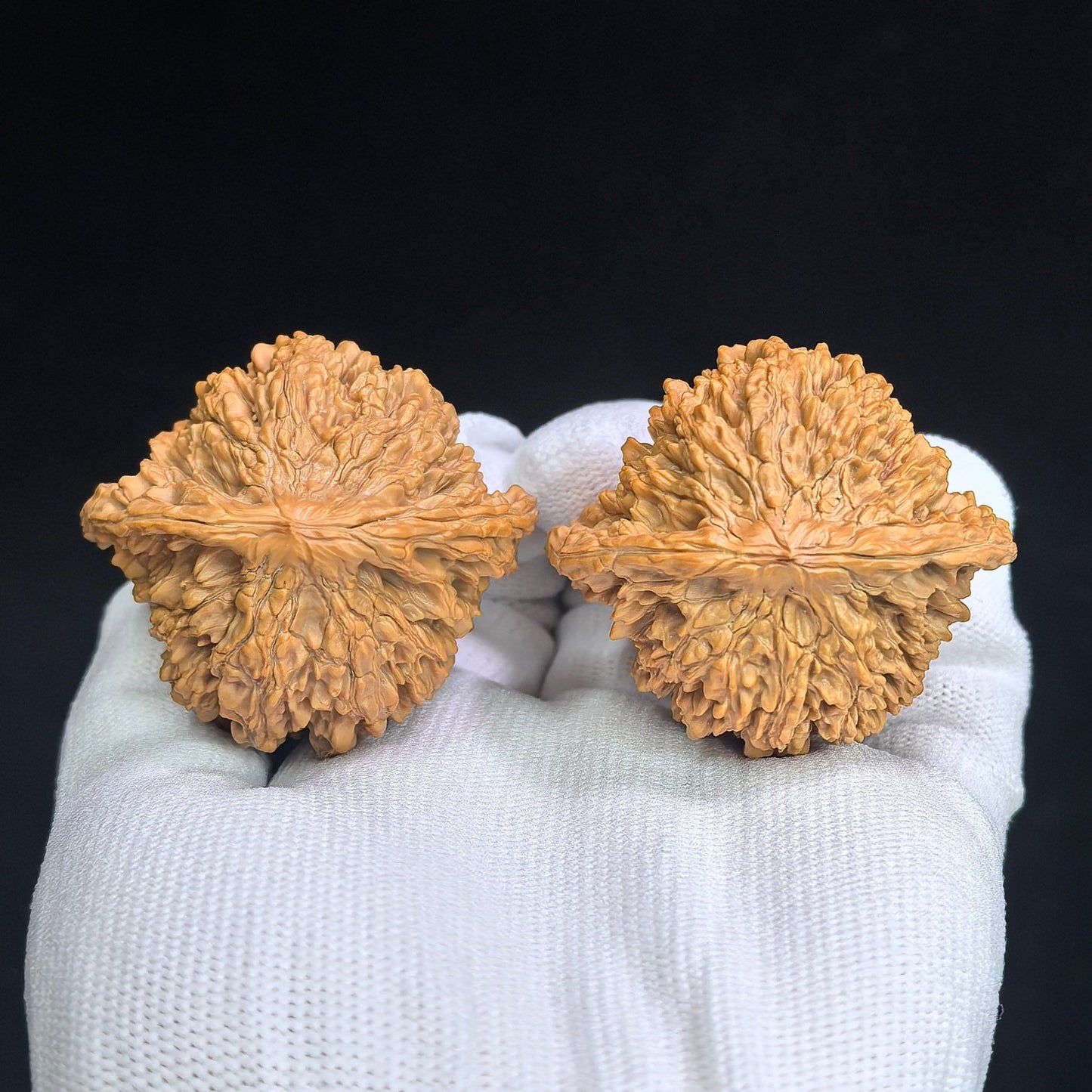"Concave Base Starry Sky" Aodi Mantianxing MTX-SY1E6 Low-Profile Wenwan Walnuts Pair | 47.0mm x 43.0mm | MTX-SY1E6 - ThePatinaProject