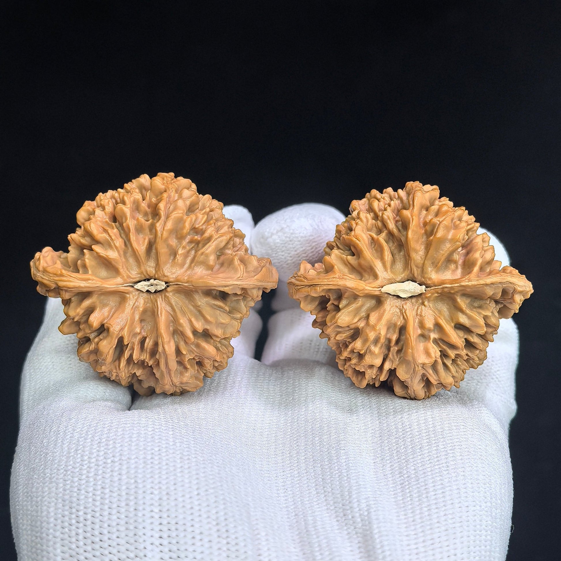 "Concave Base Starry Sky" Aodi Mantianxing MTX-SY1E6 Low-Profile Wenwan Walnuts Pair | 47.0mm x 43.0mm | MTX-SY1E6 - ThePatinaProject
