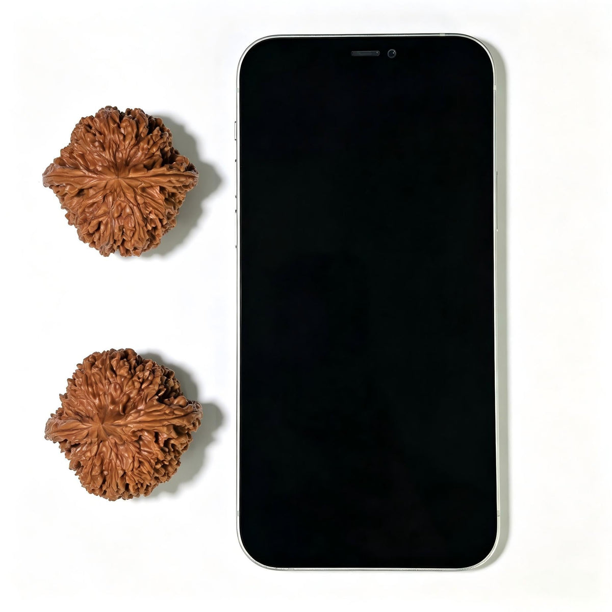 "Concave Base Starry Sky" Aodi Mantianxing Wenwan Walnuts (Pair) | 42.0mm x 41.0mm | Stock ID: ADMTX-1108 - ThePatinaProject