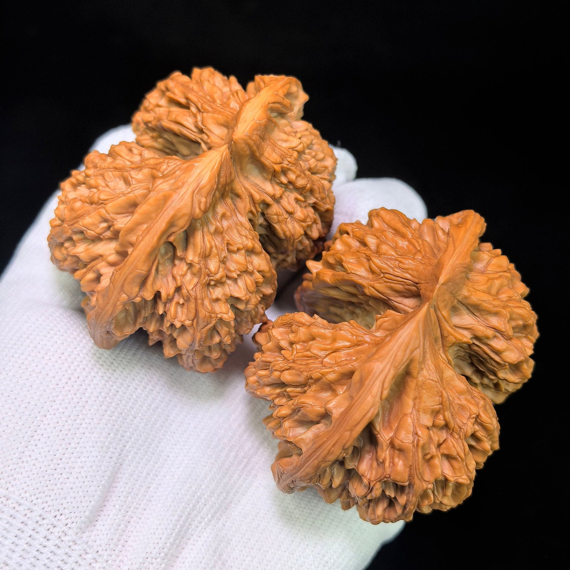 "Conjoined Twin Kylin Pattern" Qilinwen Lianti QLWLT-CWA3E Wenwan Walnuts Collector Pair | 66.0mm x 52.0mm | Stock ID: QLWLT-CWA3E - ThePatinaProject