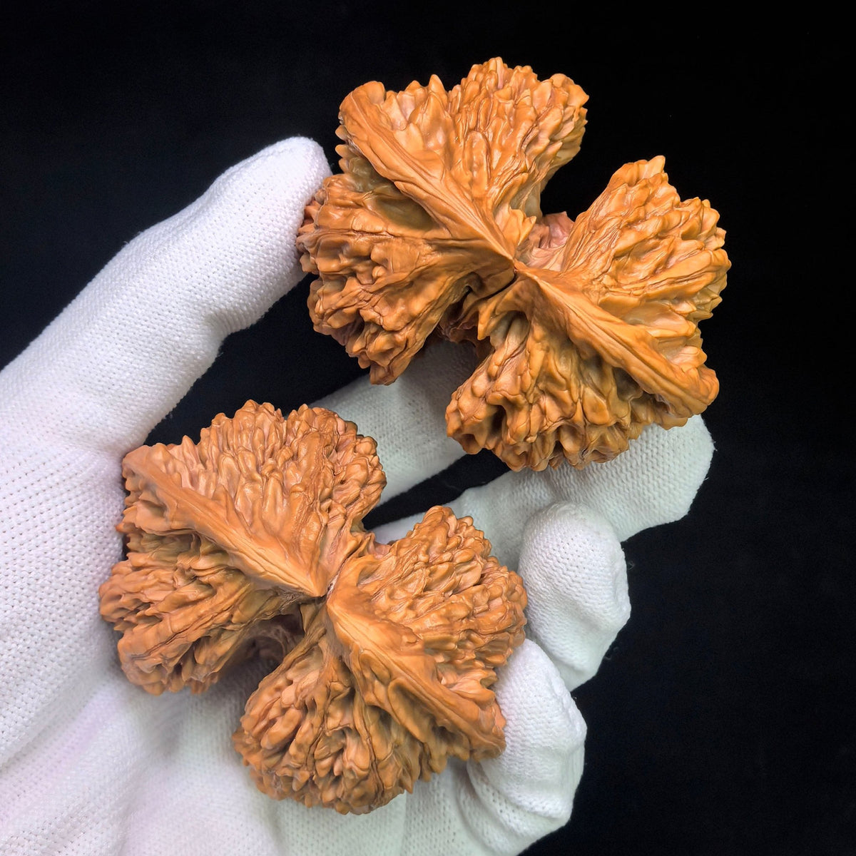 "Conjoined Twin Kylin Pattern" Qilinwen Lianti QLWLT-CWA3E Wenwan Walnuts Collector Pair | 66.0mm x 52.0mm | Stock ID: QLWLT-CWA3E - ThePatinaProject