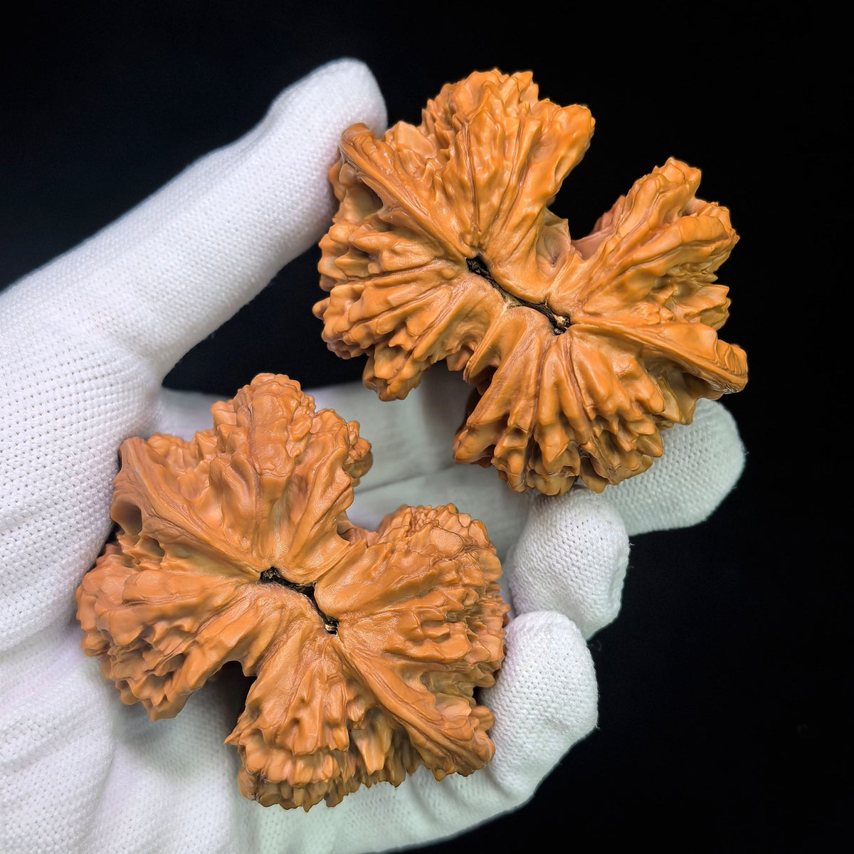 "Conjoined Twin Kylin Pattern" Qilinwen Lianti QLWLT-CWA3E Wenwan Walnuts Collector Pair | 66.0mm x 52.0mm | Stock ID: QLWLT-CWA3E - ThePatinaProject