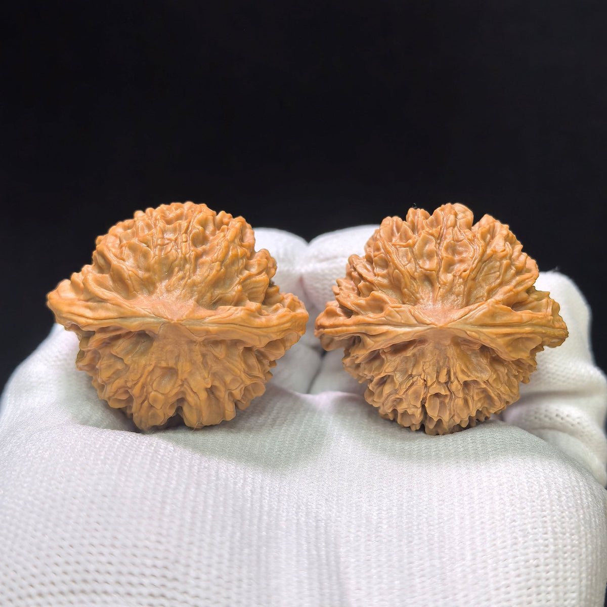 "Crescent Moon Lionhead" (Xuan Yue Shi Tou) Scholar Walnuts Pair | 39.0mm x 34.0mm | Low-Profile Broad-Edge Stance | Stock ID: XY-SY1C7 - ThePatinaProject