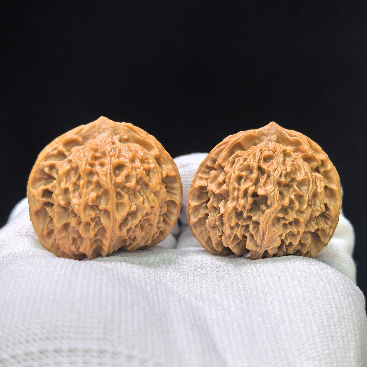 "Crescent Moon Lionhead" (Xuan Yue Shi Tou) Scholar Walnuts Pair | 39.0mm x 34.0mm | Low-Profile Broad-Edge Stance | Stock ID: XY-SY1C7 - ThePatinaProject