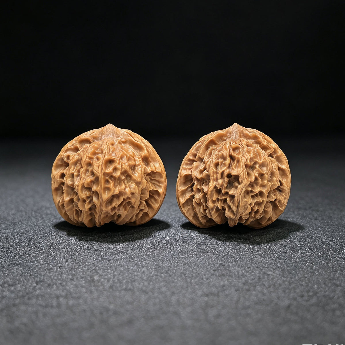 "Crescent Moon Lionhead" (Xuan Yue Shi Tou) Scholar Walnuts Pair | 39.0mm x 34.0mm | Low-Profile Broad-Edge Stance | Stock ID: XY-SY1C7 - ThePatinaProject