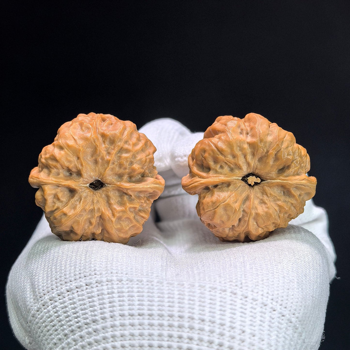 "Crystal Frog" Shuijingwa Low-Profile Wenwan Walnuts Pair | 36.0mm x 36.0mm | W-1402 - ThePatinaProject