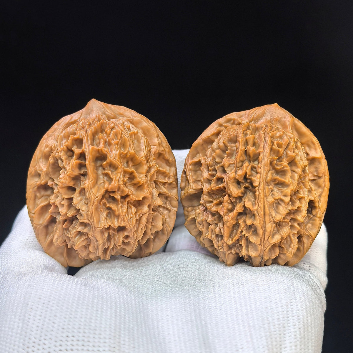 "Da Ci" Big Spine DC-1101 Collector Lineage Wenwan Walnuts Pair | 45.0mm x 45.0mm | Stock ID: DC-1101 - ThePatinaProject