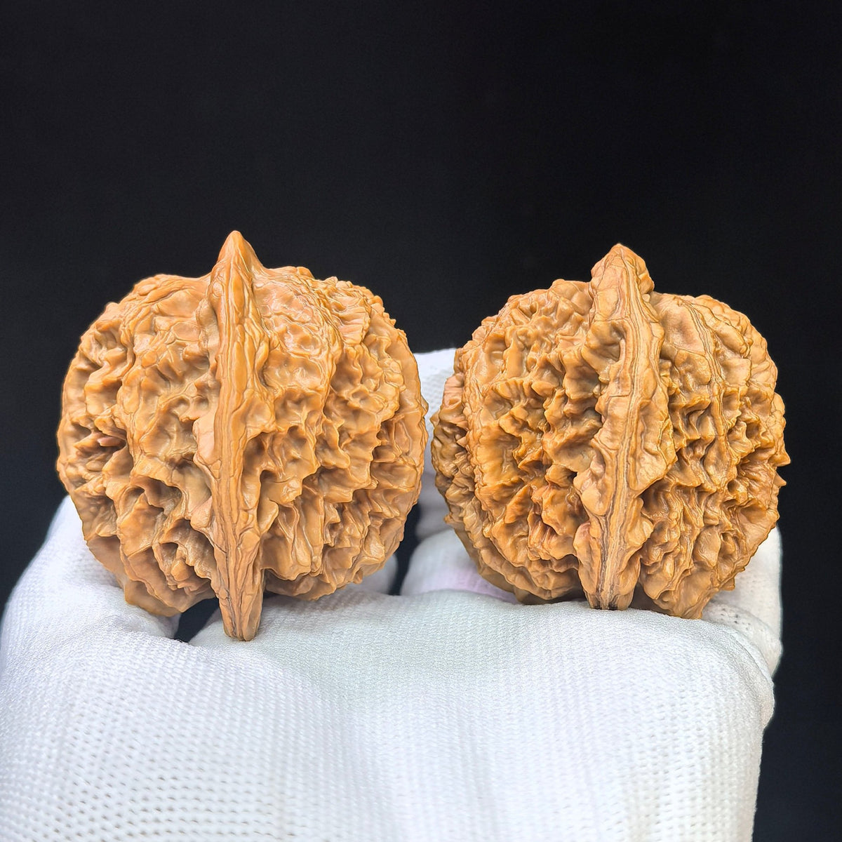 "Da Ci" Big Spine DC-1101 Collector Lineage Wenwan Walnuts Pair | 45.0mm x 45.0mm | Stock ID: DC-1101 - ThePatinaProject