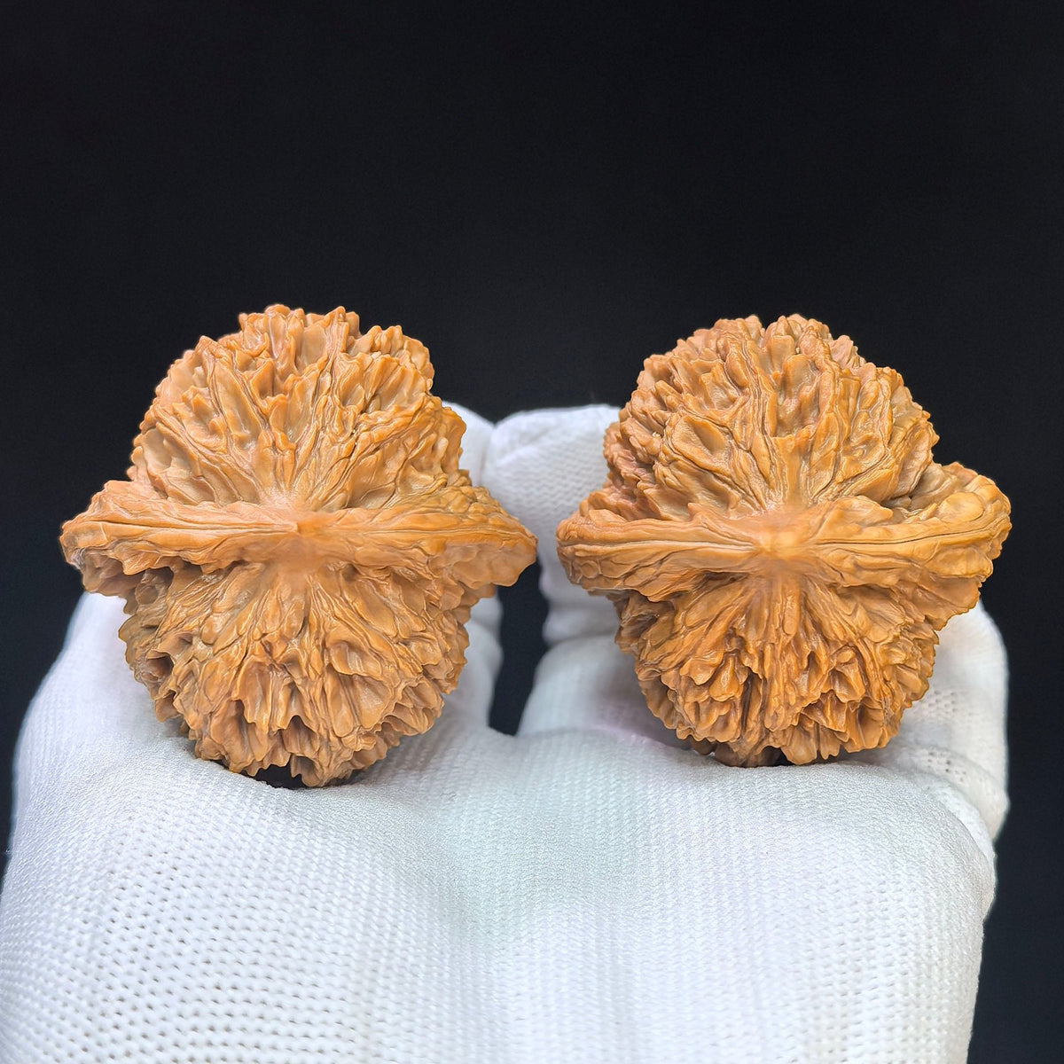 "Da Ci" Big Spine DC-1101 Collector Lineage Wenwan Walnuts Pair | 45.0mm x 45.0mm | Stock ID: DC-1101 - ThePatinaProject