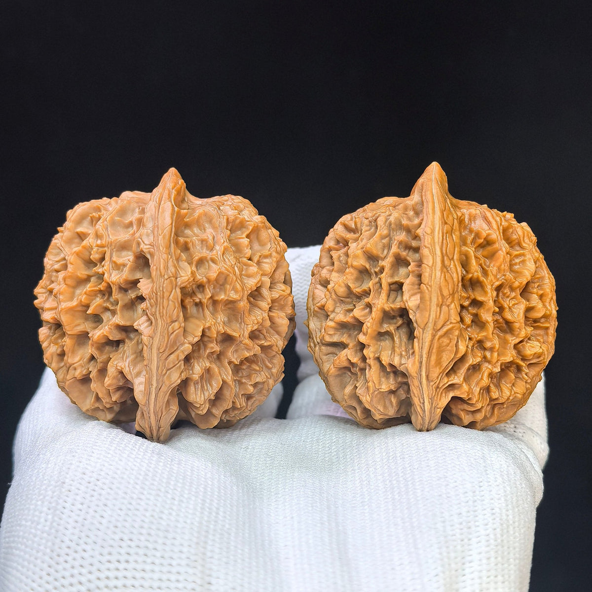 "Da Ci" Big Spine DC-1101 Collector Lineage Wenwan Walnuts Pair | 45.0mm x 45.0mm | Stock ID: DC-1101 - ThePatinaProject
