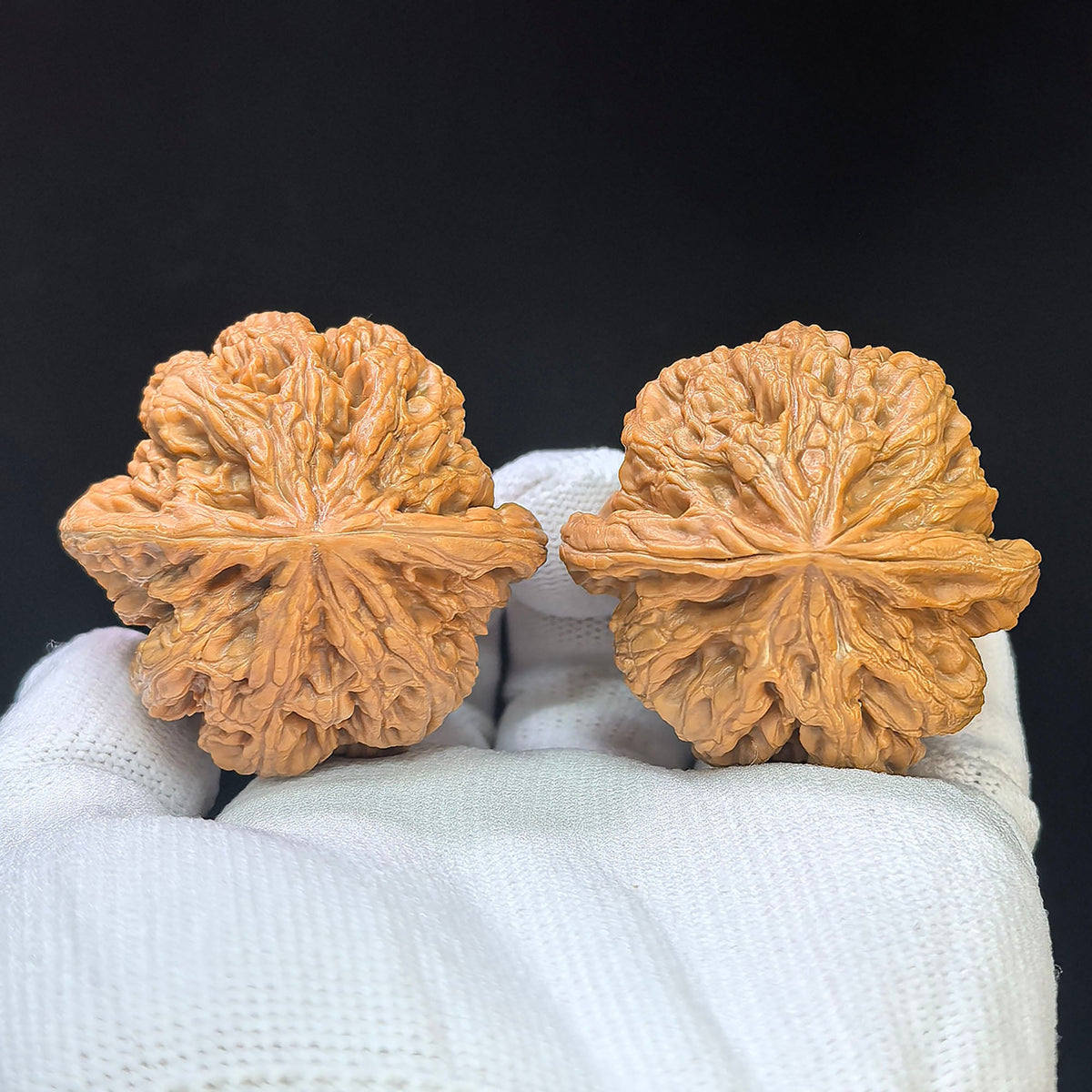 “Da Cu Jin” Broad-Rib Wenwan Walnut Pair | 44.0mm × 42.0mm | DCJ-1101 - ThePatinaProject