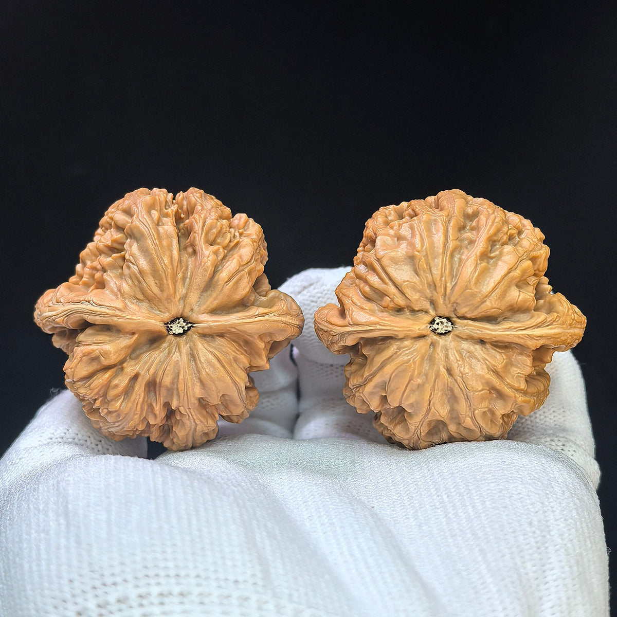 “Da Cu Jin” Broad-Rib Wenwan Walnut Pair | 44.0mm × 42.0mm | DCJ-1101 - ThePatinaProject
