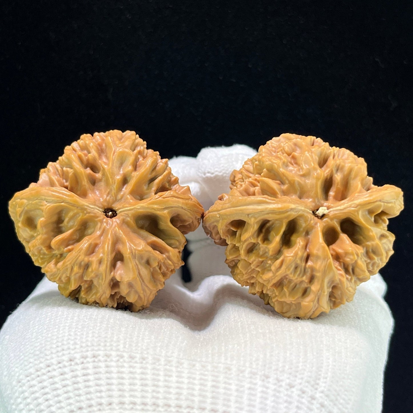 Da Ye Niu (Giant Wild Bison) Scholar Walnuts Pair | 42.0mm x 40.0mm | Stock ID: YN-1107 - ThePatinaProject