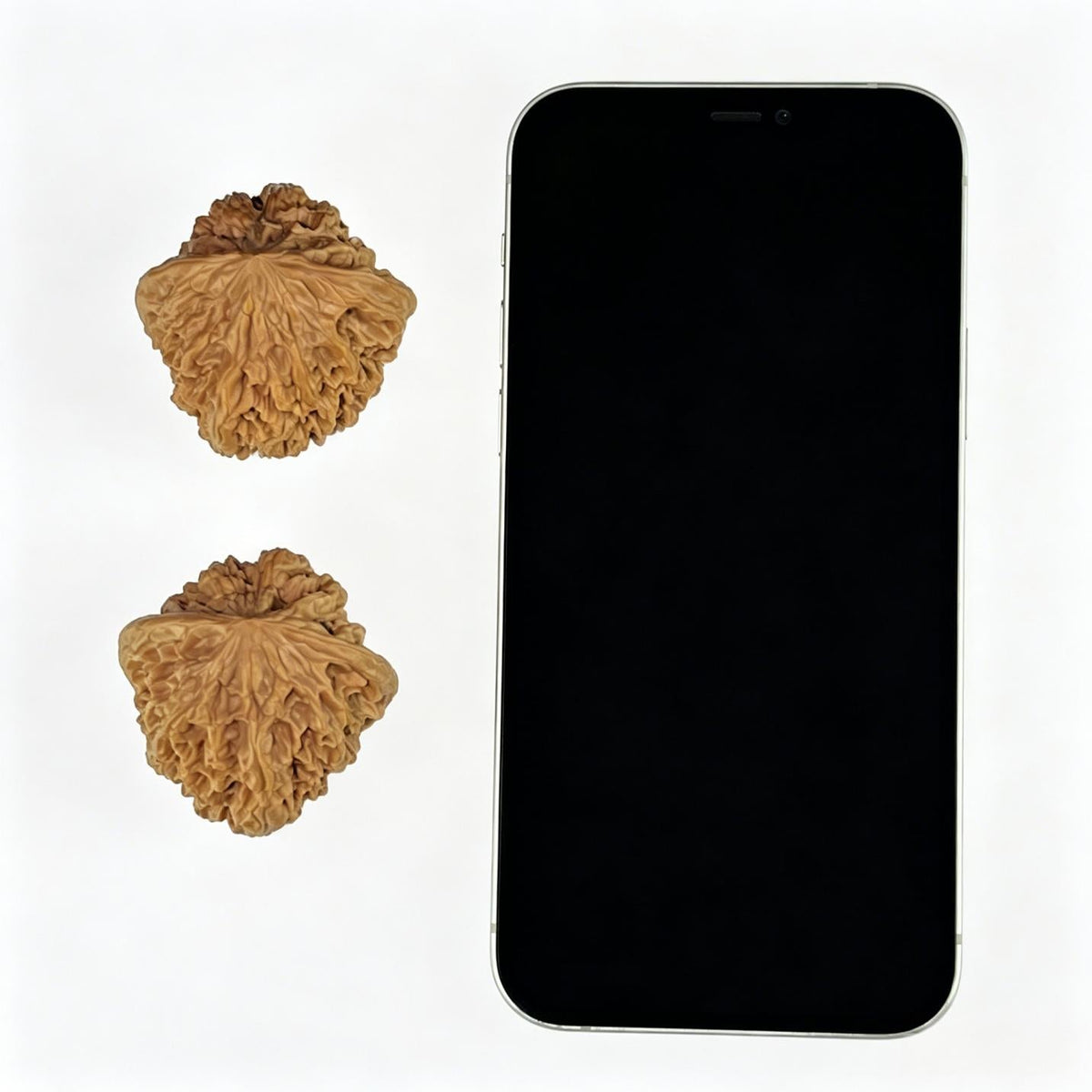 Da Ye Niu (Giant Wild Bison) Scholar Walnuts Pair | 42.0mm x 40.0mm | Stock ID: YN-1107 - ThePatinaProject