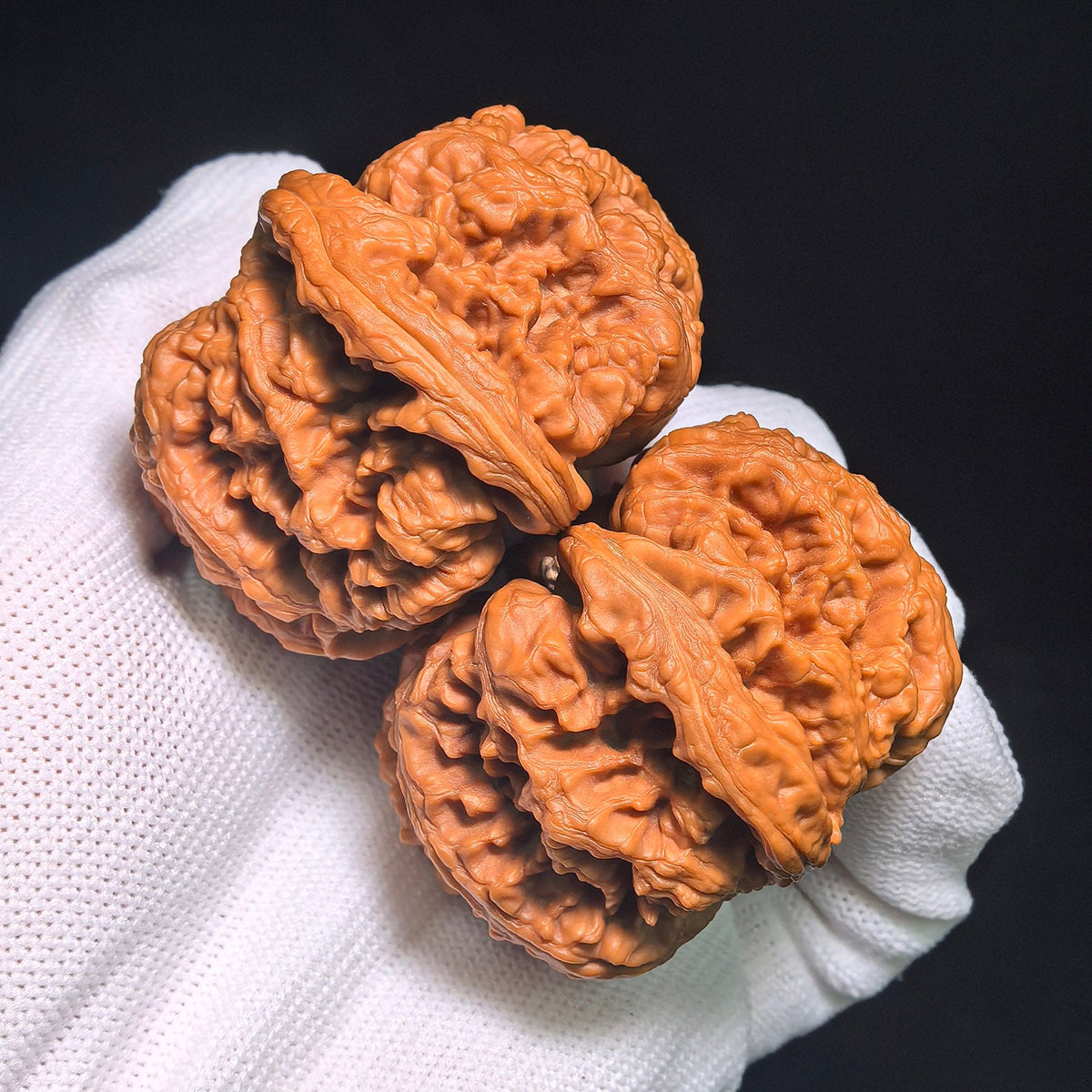 "Dacujin Thick-Ribbed Lionhead" Big Thick Rib DCJ-CWB4E Wenwan Walnuts Collector Pair | 52.0mm x 50.0mm | Stock ID: DCJ-CWB4E - ThePatinaProject