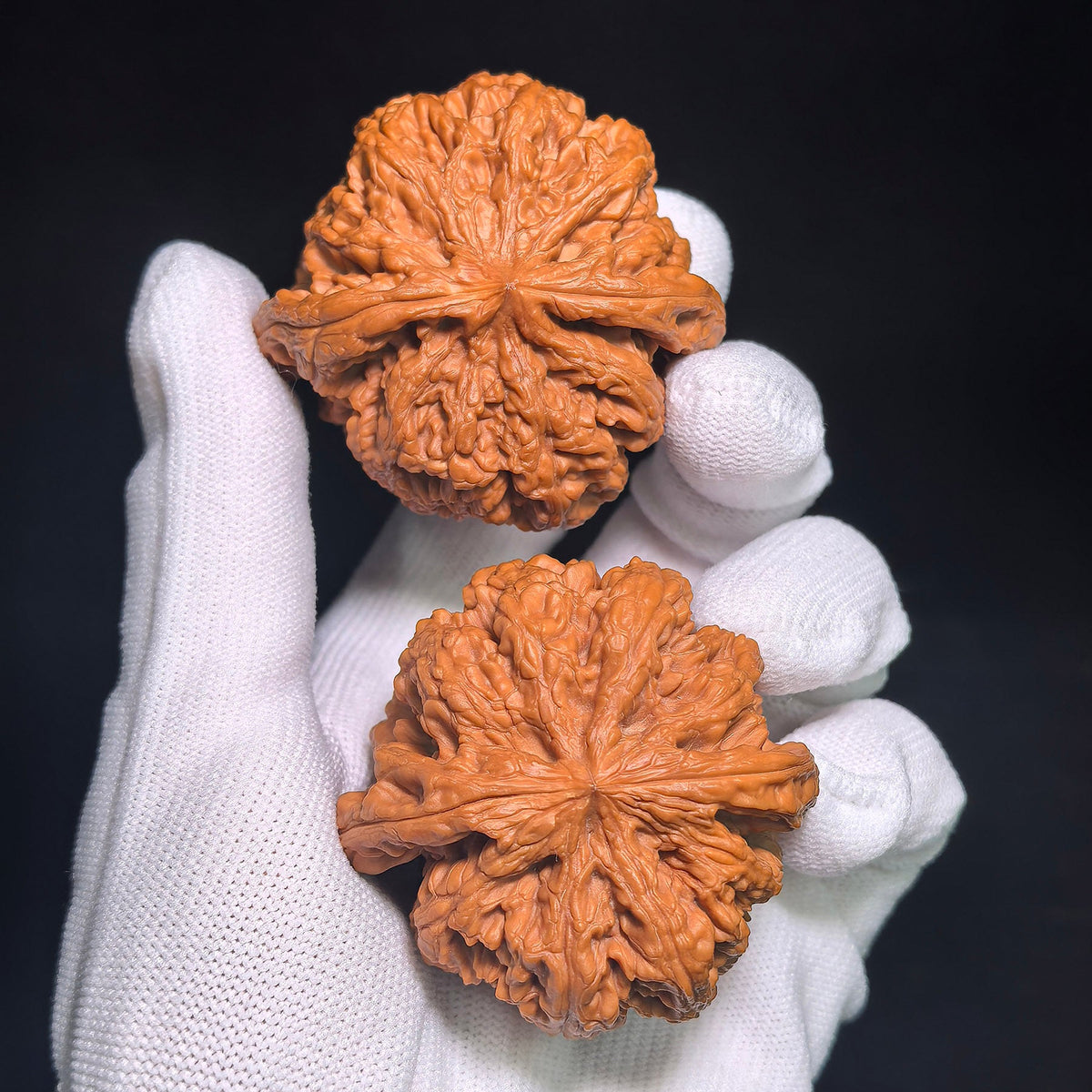 "Dacujin Thick-Ribbed Lionhead" Big Thick Rib DCJ-CWB4E Wenwan Walnuts Collector Pair | 52.0mm x 50.0mm | Stock ID: DCJ-CWB4E - ThePatinaProject