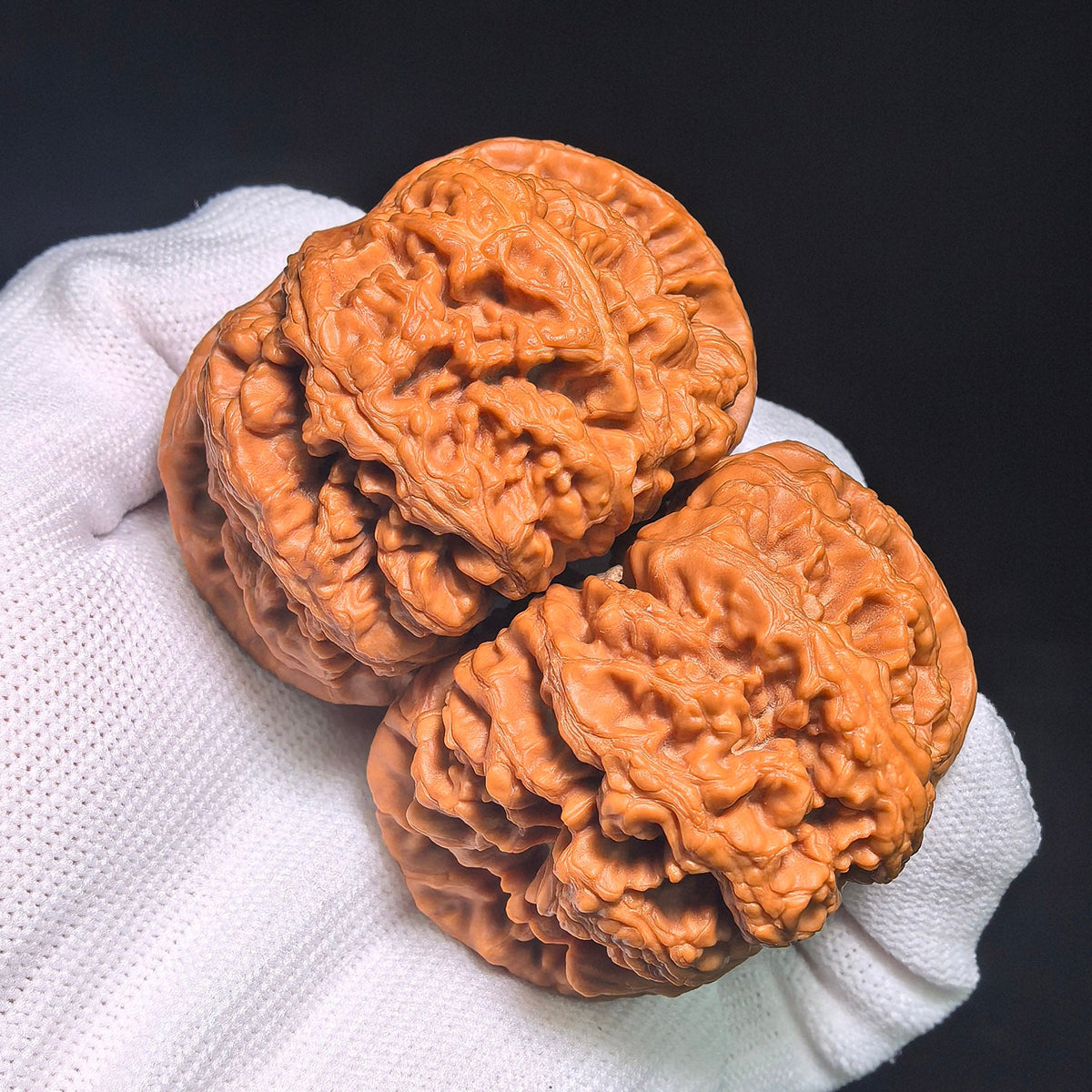 "Dacujin Thick-Ribbed Lionhead" Big Thick Rib DCJ-CWB4E Wenwan Walnuts Collector Pair | 52.0mm x 50.0mm | Stock ID: DCJ-CWB4E - ThePatinaProject
